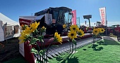 День Сибирского поля 2023!